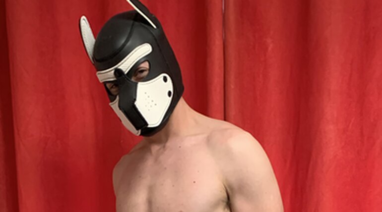 StreetPup in Locked & Loaded