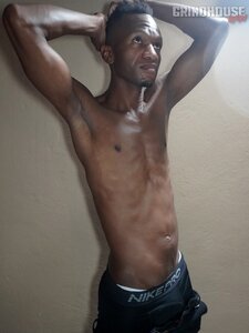 Zambian Stallion a 9 Inch Solo
